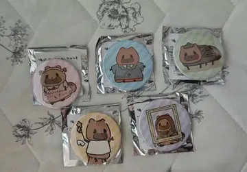 유하치 아아, 너구리는 이제 안돼요 트레이딩 캔뱃지 5종 컴프