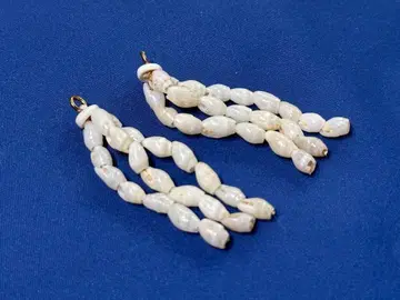 니하우 쉘 귀찌 참 A