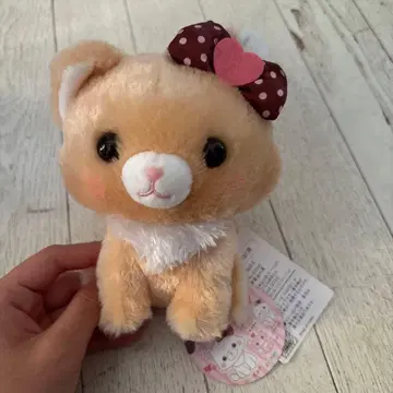 푹신푹신 고양이 뮤짱 봉제 인형