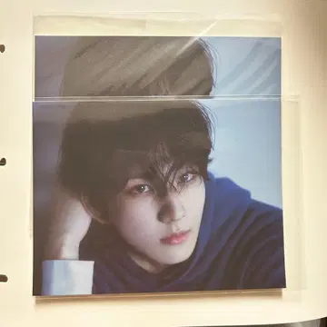ENHYPEN 정원 포토 카드 세트