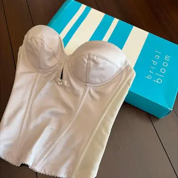 브라이덜 블루 코르셋