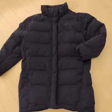 LACOSTE 다운 코트 네이비 38