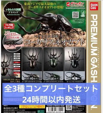 생물대도감 어드밴스 코카서스장수풍뎅이 전 3종 컴플리트 세트