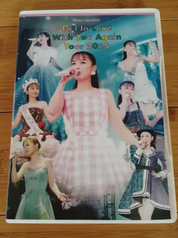 니시노 카나 Tour 2025 플레이패스