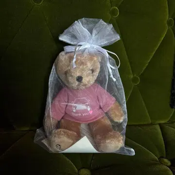 렉서스 봉제 인형 (브라운 티셔츠)