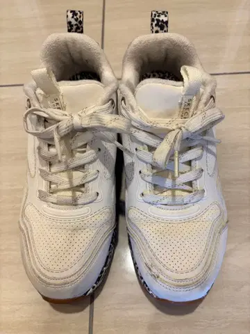 가격 인하 스케쳐스 여성 신발