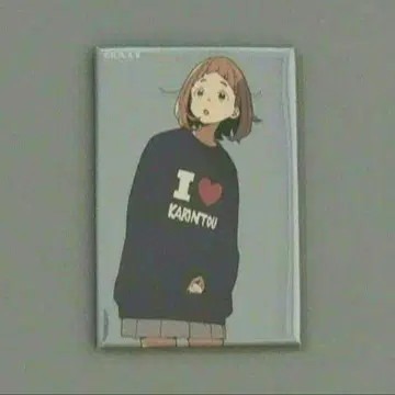 리코리스 리코일 랜덤 마그넷 컬렉션 리코리코전 에리카