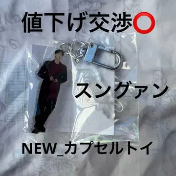 SEVENTEEN NEW NEW 캡슐 토이 가챠 승관