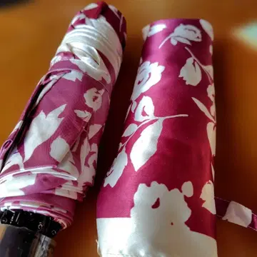 AURORA 로즈 패턴 접이식 우산