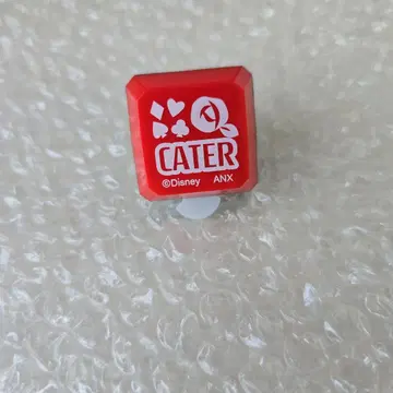 트위스테 반지 라이트 라이브 린 라이트 케이트