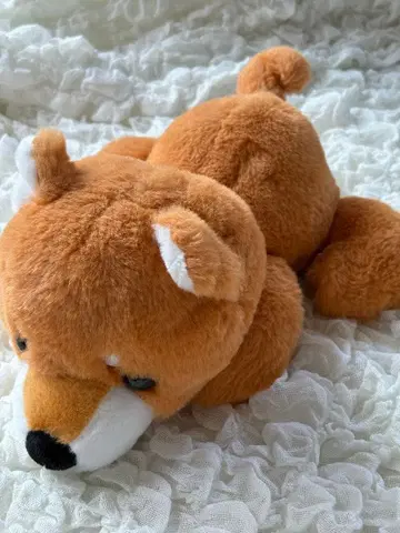 시바견 봉제 인형