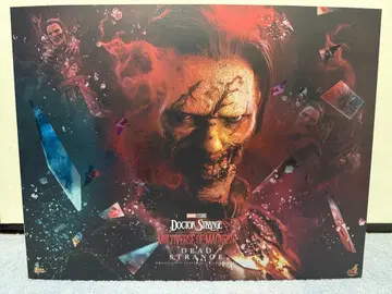 핫토이즈 데드 스트레인지