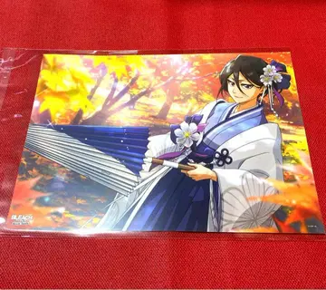 BLEACH 480 정전기 포스터 브레솔 쿠치키 루키아