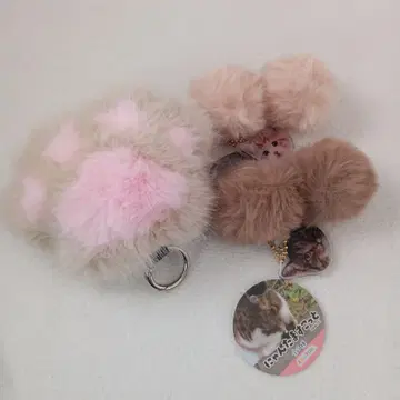 냥타마 스코트 키링