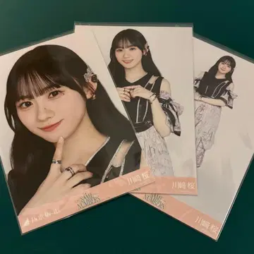 노기자카46 카와사키 사쿠라 same numbers 브로마이드 컴프