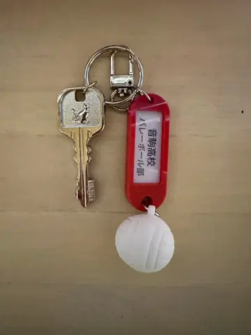 하이큐!! 트레이딩 고등학교 이름 포함 열쇠 참 키링