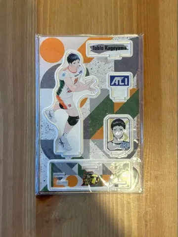 하이큐!! 카게야마 토비오 V리그 아크릴 스탠드