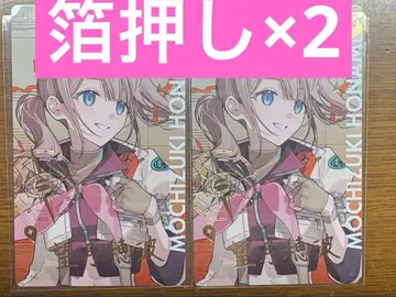 프로세카 세카라이 에피카 금박 레오니드 호나미 2장