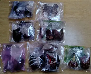 타란두스 야마토장수풍뎅이 말벌 생물대도감 장수풍뎅이