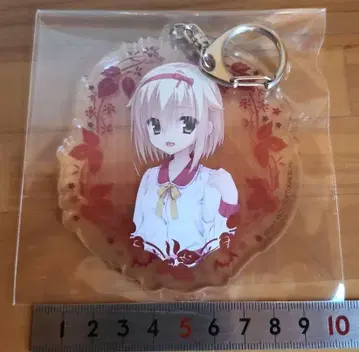 사노바위치 카리야 와카나 킹 키링