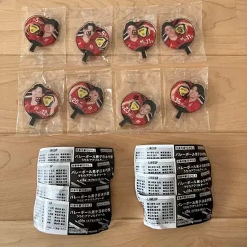 배구 남자 일본 대표 부채 아크릴 참