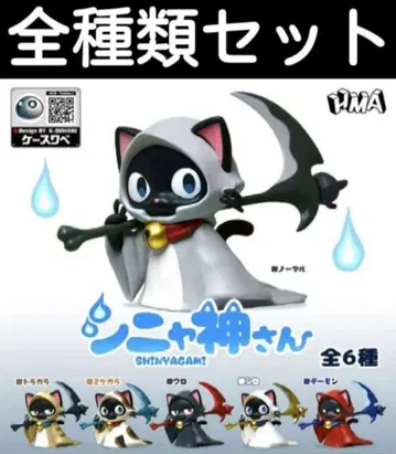 시냐신님 컴플리트 세트