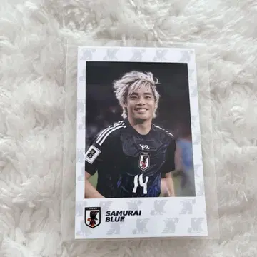 SAMURAI BLUE 이토 준야 프레임 로그