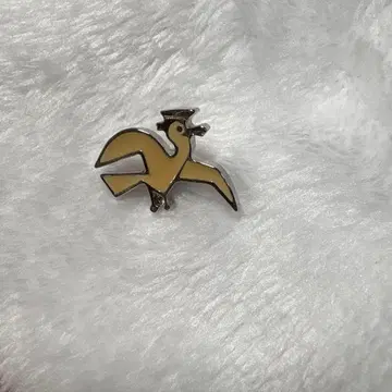 브루나보인 핀 배지