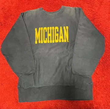 champion reverse weave michigan 90s