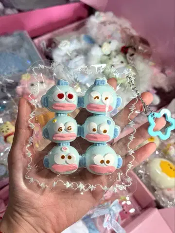 6개 한교동 스퀴즈