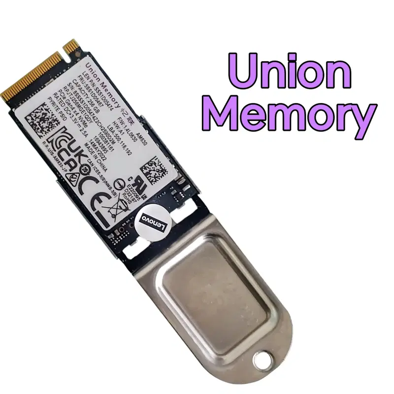 유니온 메모리 AM630 M.2 2242 NVMe 256GB SSD