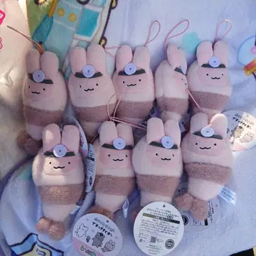 시~푸와 화이트 타이거와 블랙 타이거 봉제 인형 토끼 선생님 9체