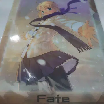 Fate 클리어 파일 세이버