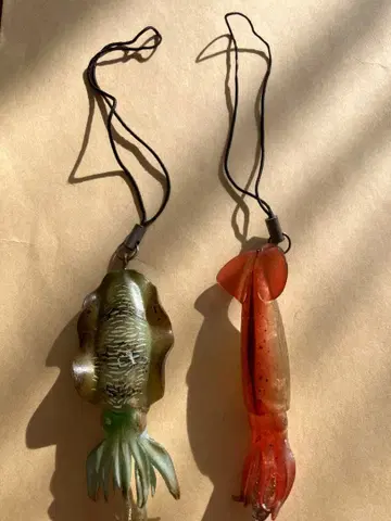 아오리이카, 술오징어 스트랩