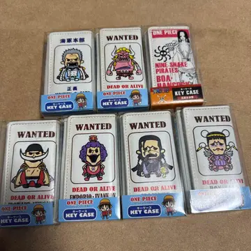 원피스 키케이스