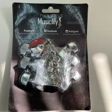 Musiclily 기타용 페그 6개 세트