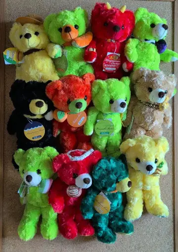 지역 한정 베어 묶음 판매 12마리 세트