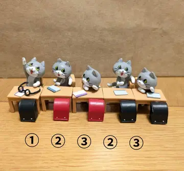 일하는 고양이 초등학교 5체 세트