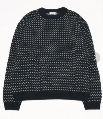 BEAUTY&YOUTH 바즈아이 벌키 크루넥 니트