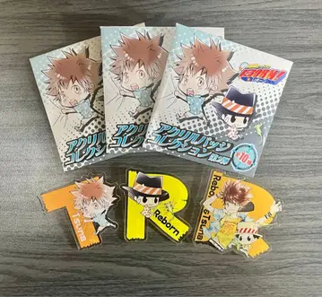 가정교사 히트맨 REBORN! 아크릴 배지 츠나