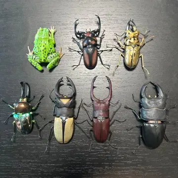 생물대도감 가챠가챠 장수풍뎅이 사슴벌레 개구리