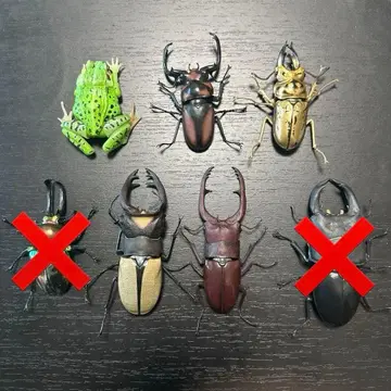 생물대도감 가챠가챠 장수풍뎅이 사슴벌레 개구리