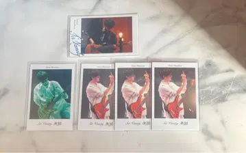 Sir Vanity 폴라로이드풍 카드