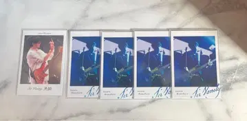 Sir Vanity 폴라로이드풍 카드