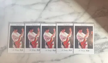 Sir Vanity 폴라로이드풍 카드