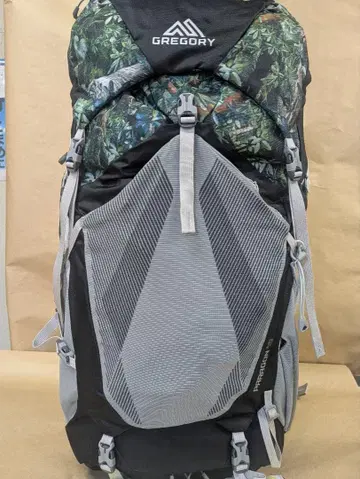 그레고리 파라곤48