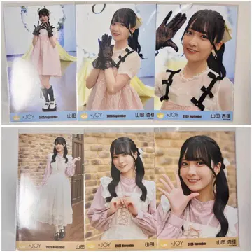 니어 조이 브로마이드 야마다 안즈카