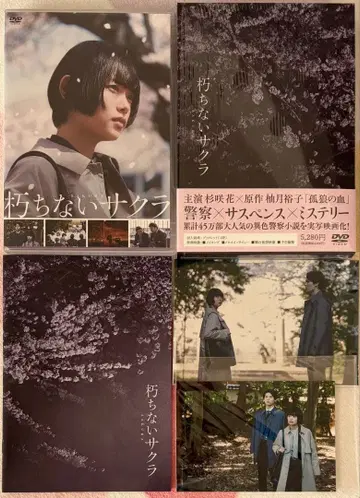 썩지 않는 사쿠라 DVD 하기와라 리쿠 스기사키 하나