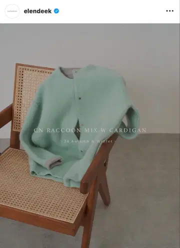 엘렌딕 스테디셀러 라쿤 가디언 민트 그린