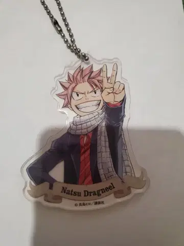 FAIRYTAIL 원화전 아크릴 키링 나츠 나츠 드래그닐